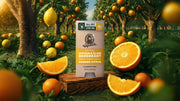 Summer Citrus Invisible Glide Deodorant - Classic Notes - Camp Skin-Reset