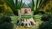 Cool Fresh Aloe - Clean Feel - Evening Soap-Ritual