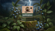 Sierra Storm - Fresh Notes - Versatile Shave-Ready