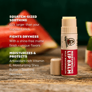 Lip Balm 4-Pack - Travel Edit - Comfort Fresh-Finish