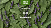 Alpine Sage Deodorant - Active Fresh - Easy Daily-Care