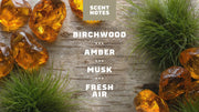 Birchwood Breeze Spray Deodorant - Gentle Mist - Modern Trail-Ready