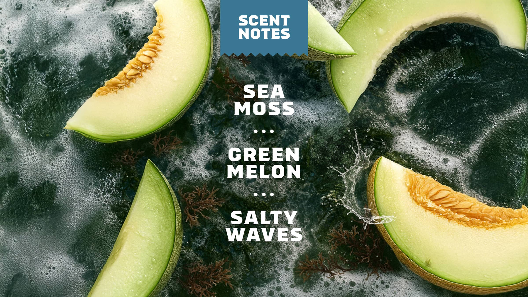 Coastal Mist Invisible Glide Deodorant - Warm Blend - Weekend Bath-Ready