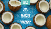 14 oz Coconut Castaway Body Wash - Bright Scent - Comfort Scented-Care