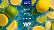 Deep Sea Goats Milk - Classic Notes - Home Clean-Routine