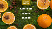 Gold Moss - Clean Feel - Picnic Clean-Routine