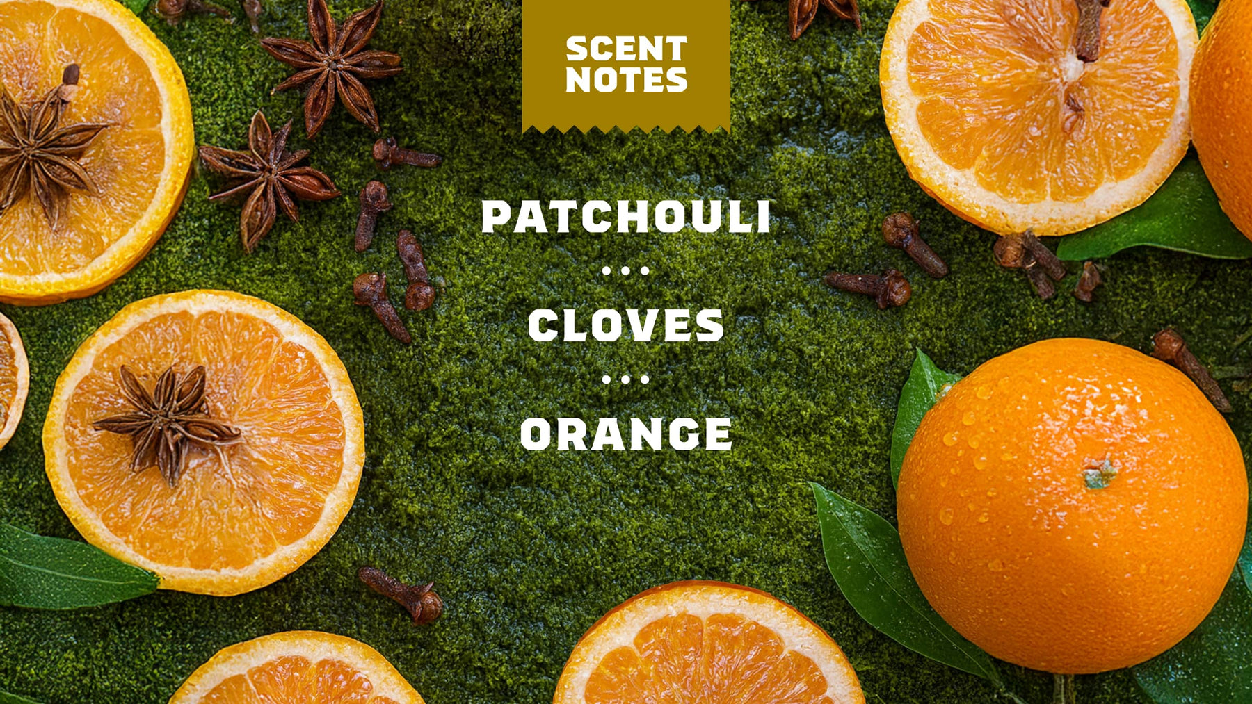 Gold Moss - Clean Feel - Picnic Clean-Routine
