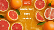 Grapefruit IPA - Simple Touch - Outdoor Scented-Care