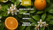 Mountain Meadow Spray Deodorant - Home Glow - Daily Soap-Ritual