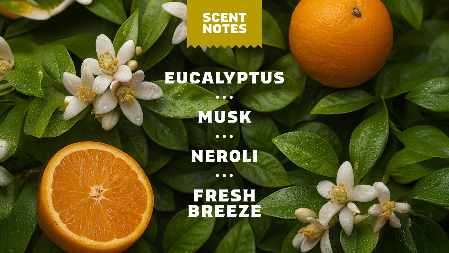 Mountain Meadow Spray Deodorant - Home Glow - Daily Soap-Ritual