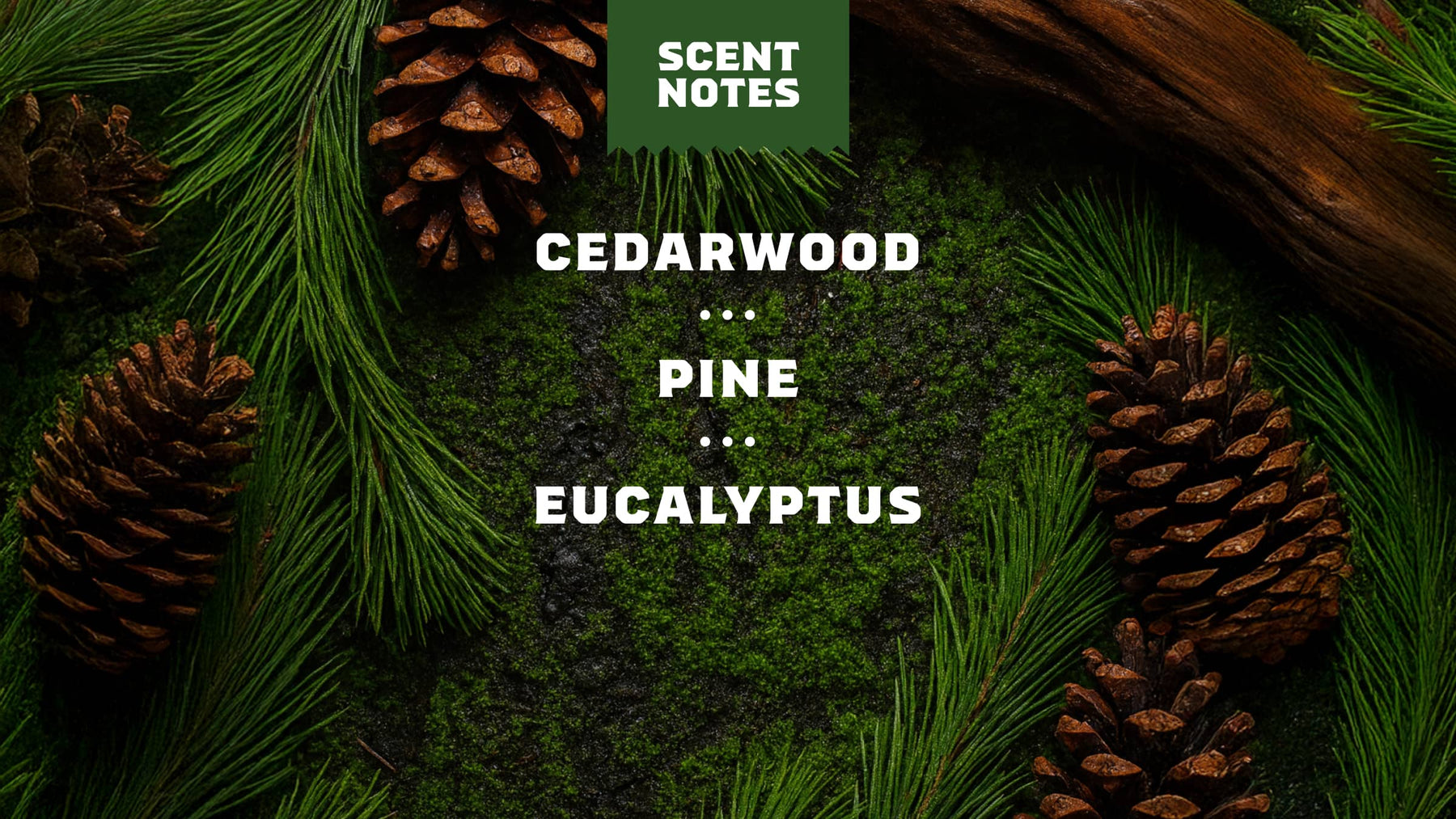 14 oz Pine Tar Exfoliating Body Wash - Bright Scent - Travel Fresh-Lather