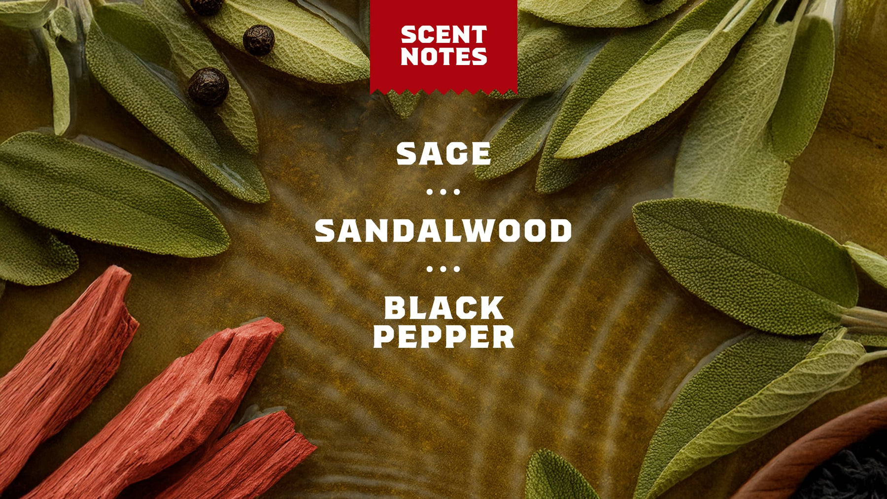 14 oz Sandalwood Summit Body Wash - Bright Scent - Urban Comfort-Care