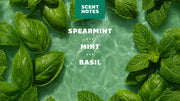 Spearmint Basil - Active Fresh - Roadtrip Shave-Ready