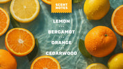 Summer Citrus Conditioner - Clean Mood - Camp Everyday-Grooming