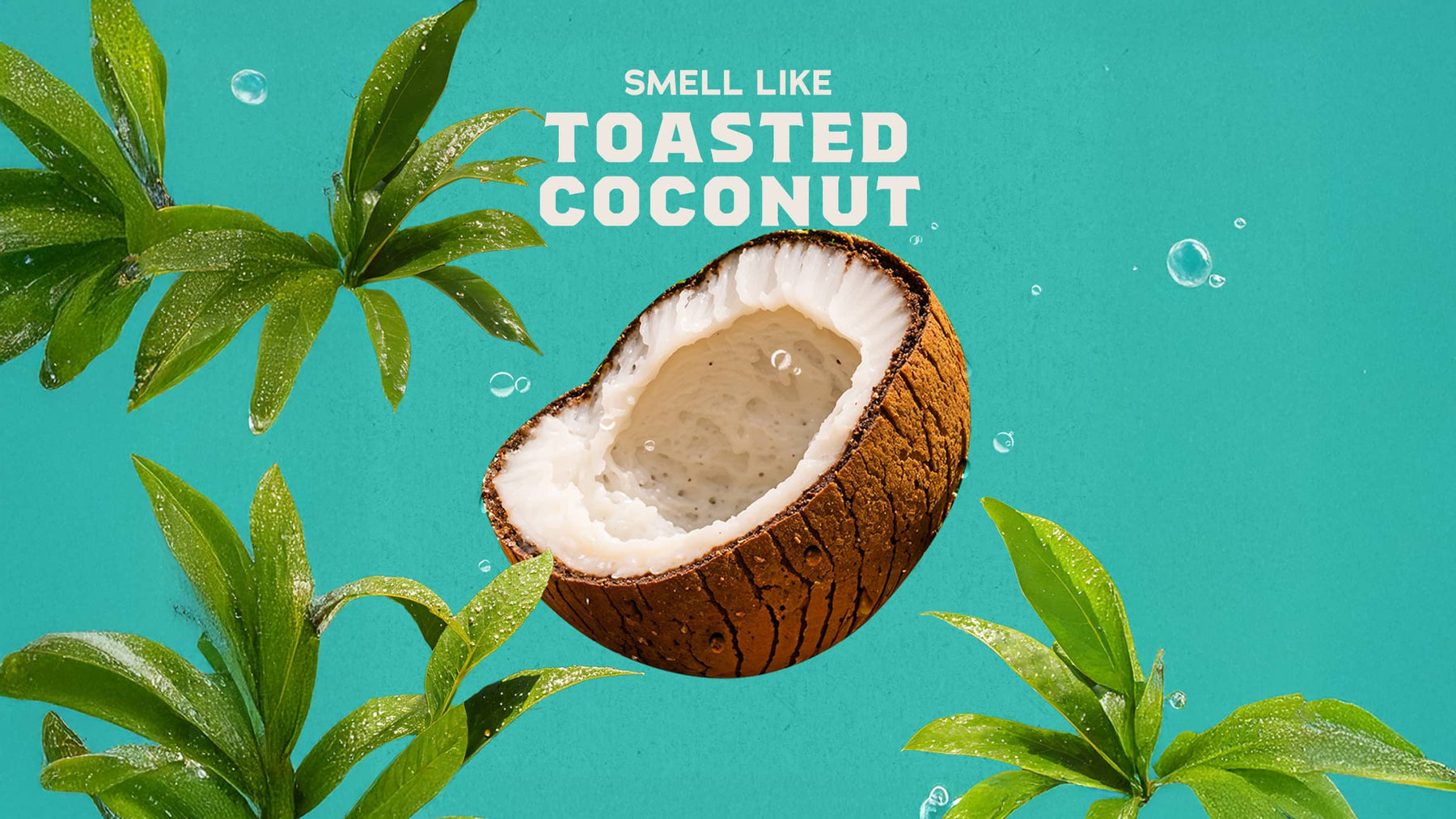 Coconut Castaway Full & Thick Shampoo - Modern Blend - Chilled Canyon-Clean