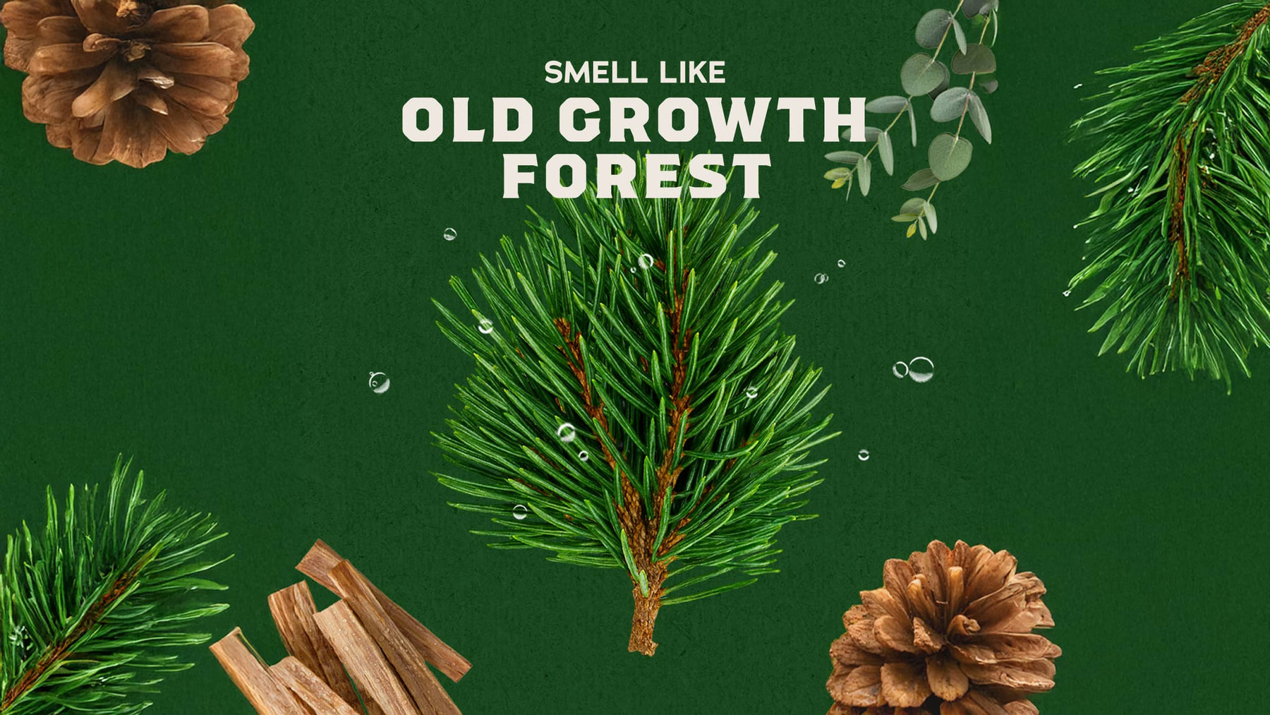 Pine Tar Exfoliating Face Wash - Modern Blend - Roadtrip Weekend-Wash