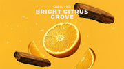 Summer Citrus Deodorant - Soft Layer - Versatile Rinse-Ready